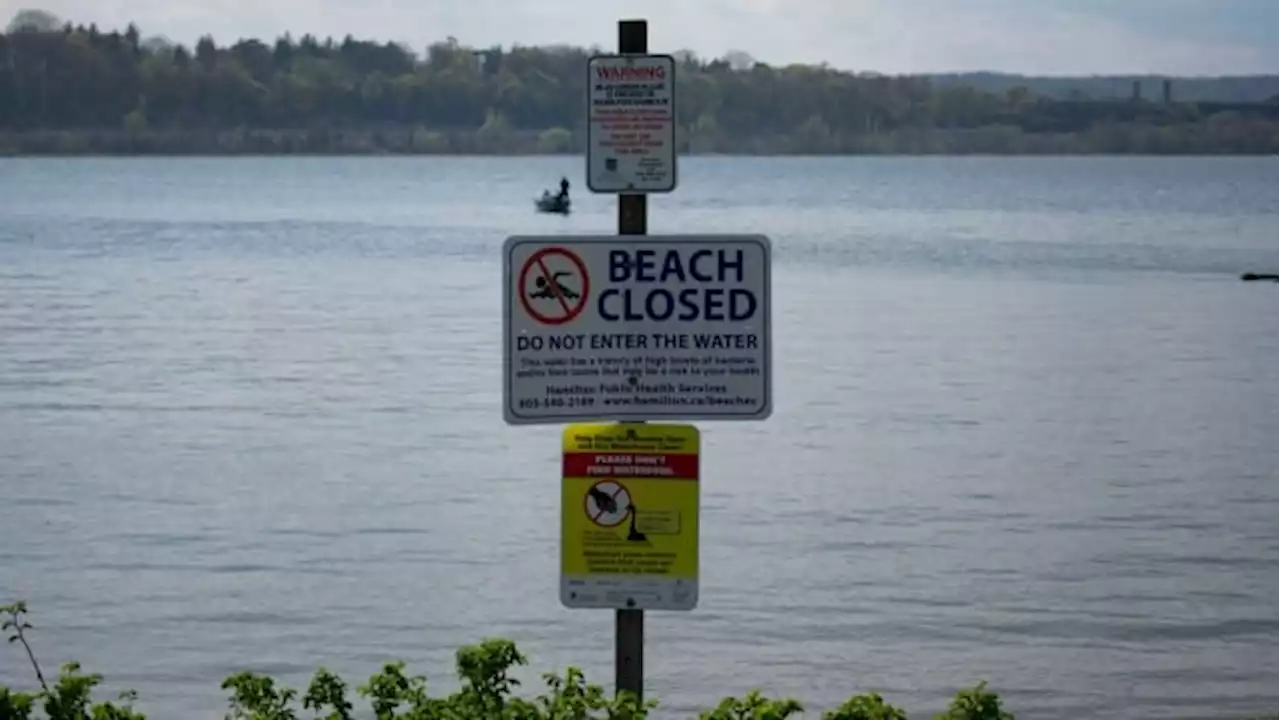 Ontario issues order for Hamilton to improve sewage monitoring after spills into Lake Ontario | CBC News