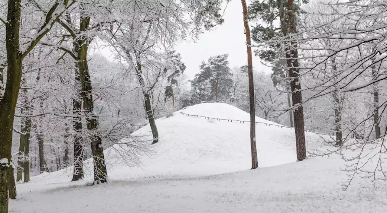 In Südbrandenburg fällt der Strom aus – wegen Schnee!