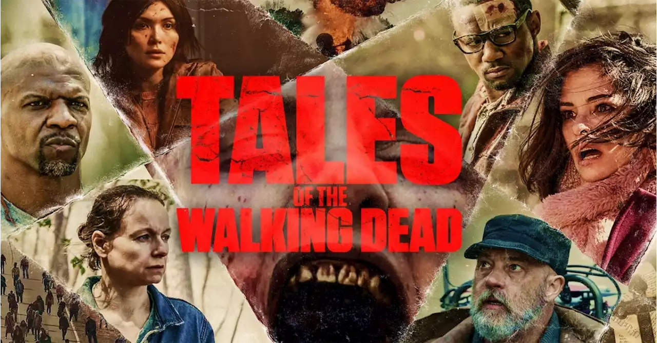 The Walking Dead Boss Reveals Tales of TWD Season 2 Status