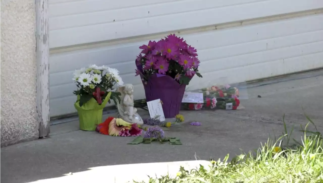 AHS set to announce findings in fatal dog attack on Calgary senior