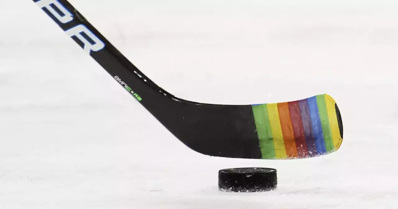 SEE IT: Washington Capitals give fans lesson on LGBT flags and preferred pronouns