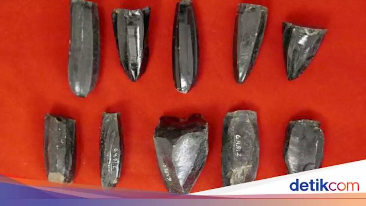 Ilmuwan Duga Suku Maya di Tempat Ini Juga Pergi ke 'Supermarket'