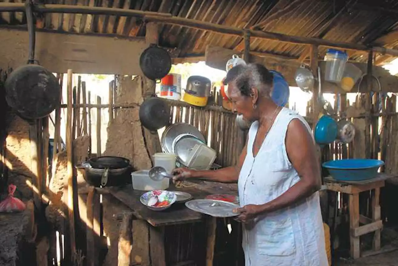 131 millones de personas en América Latina no pueden acceder a una dieta saludable