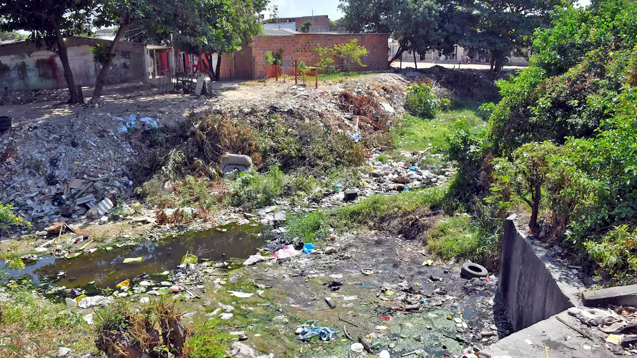 Serán canalizados más de 1.300 metros del arroyo El Platanal, Soledad