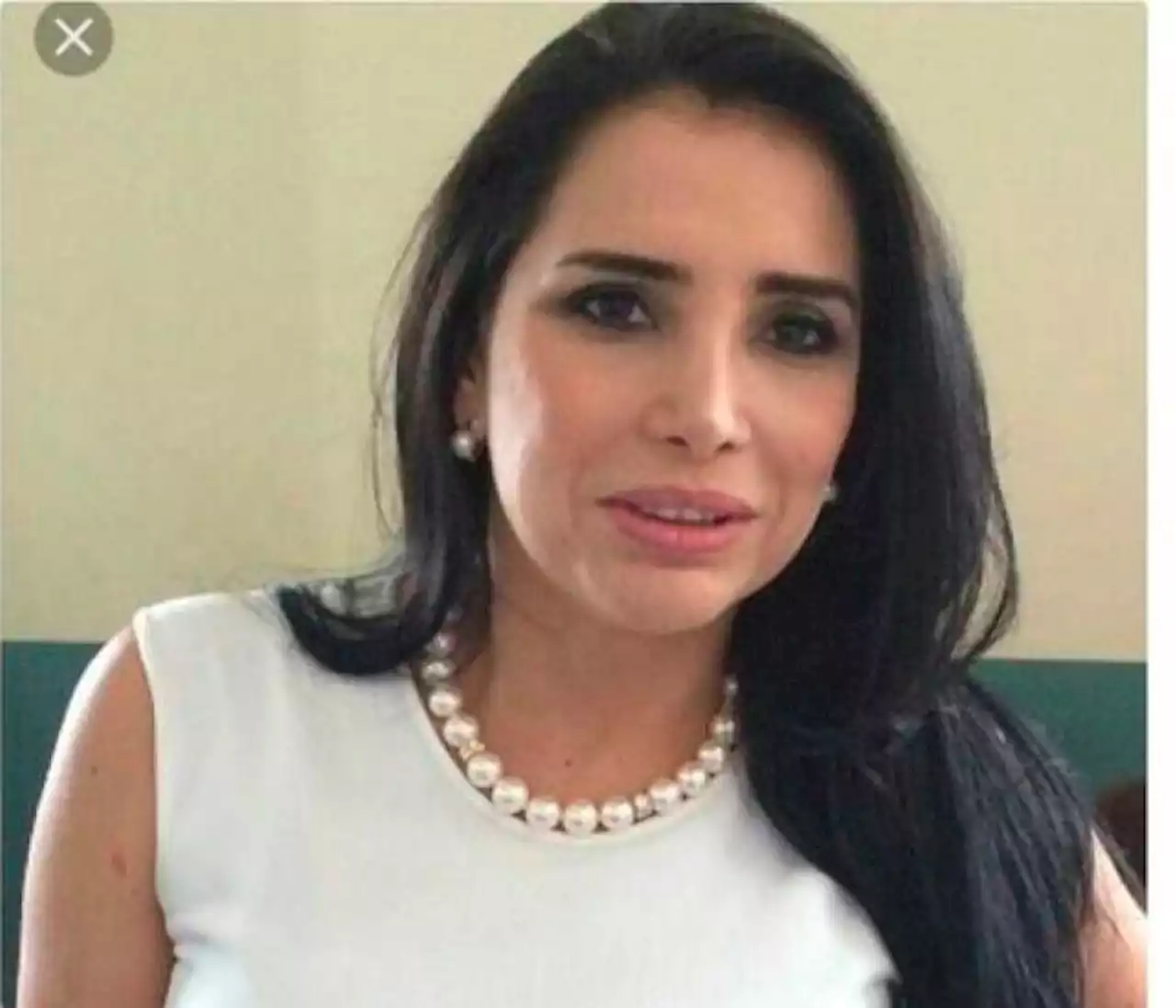 “Me apoyó económicamente como pareja”: Aida Merlano en juicio contra Gerlein