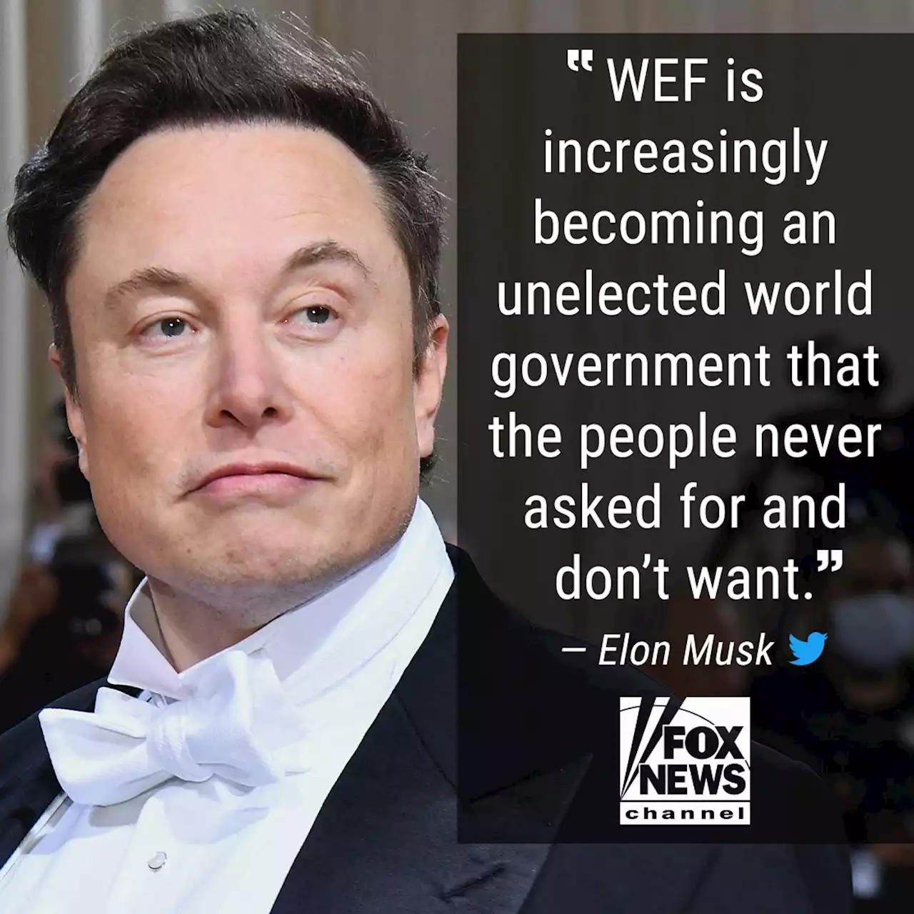 Musk rips World Economic Forum: ‘unelected world government’