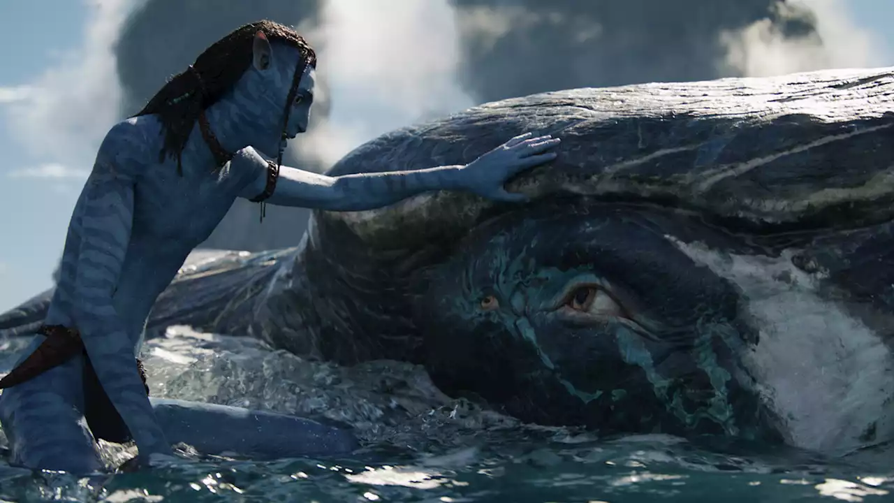 Avatar 2's Whale Will Be Back to Kick Human Ass in Avatar 3