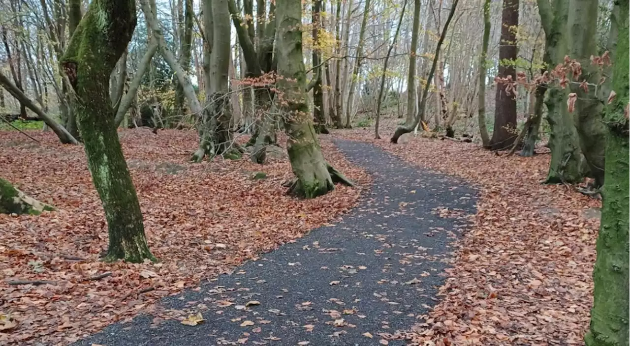 Section of popular East Dunbartonshire path upgraded after floods