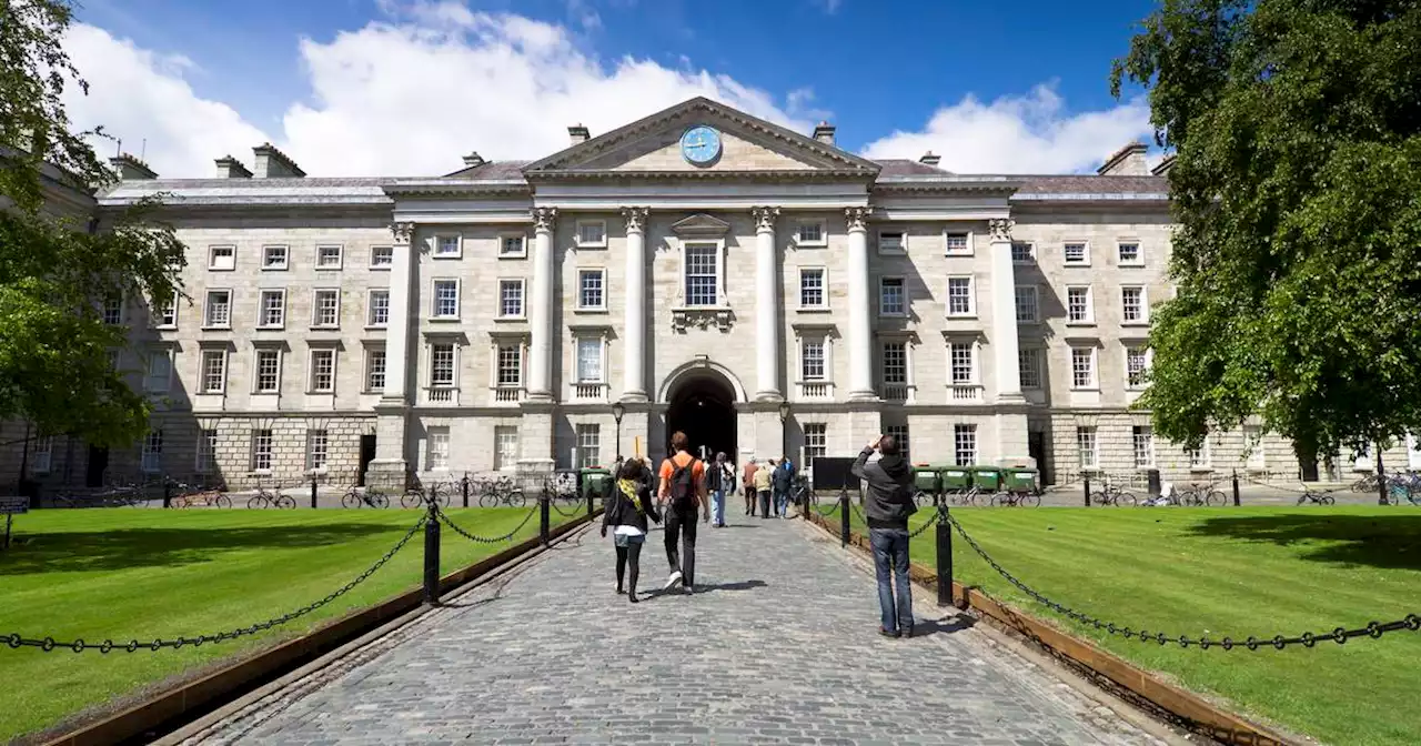 Former Trinity College Dublin manager claims dismissal after sexual assault conviction unfair