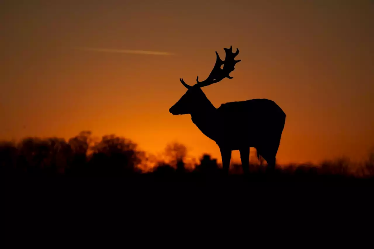 Thursday's images of the day