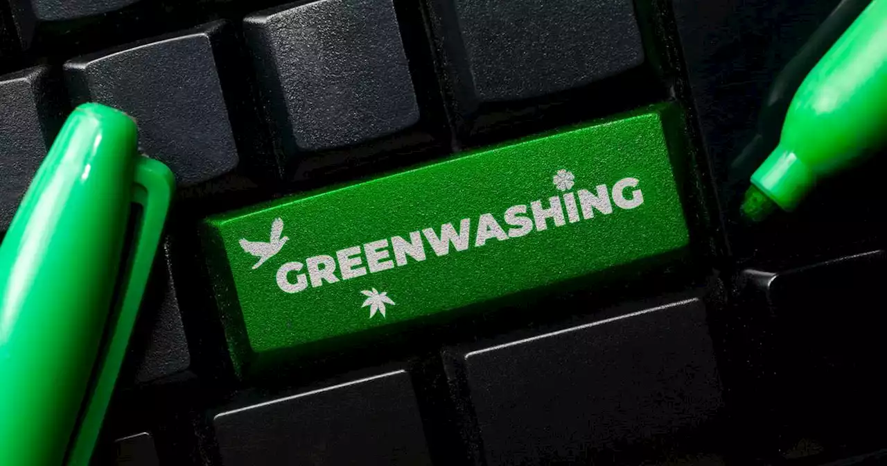 Who is greenwashing whom? Second-hand car woes and Twitter’s blissful silence