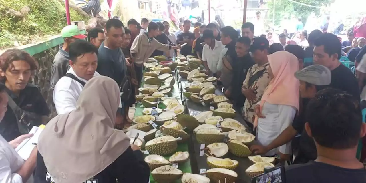 Festival Durian Prumben Hadirkan Produk Durian Lokal Terbaik Purworejo