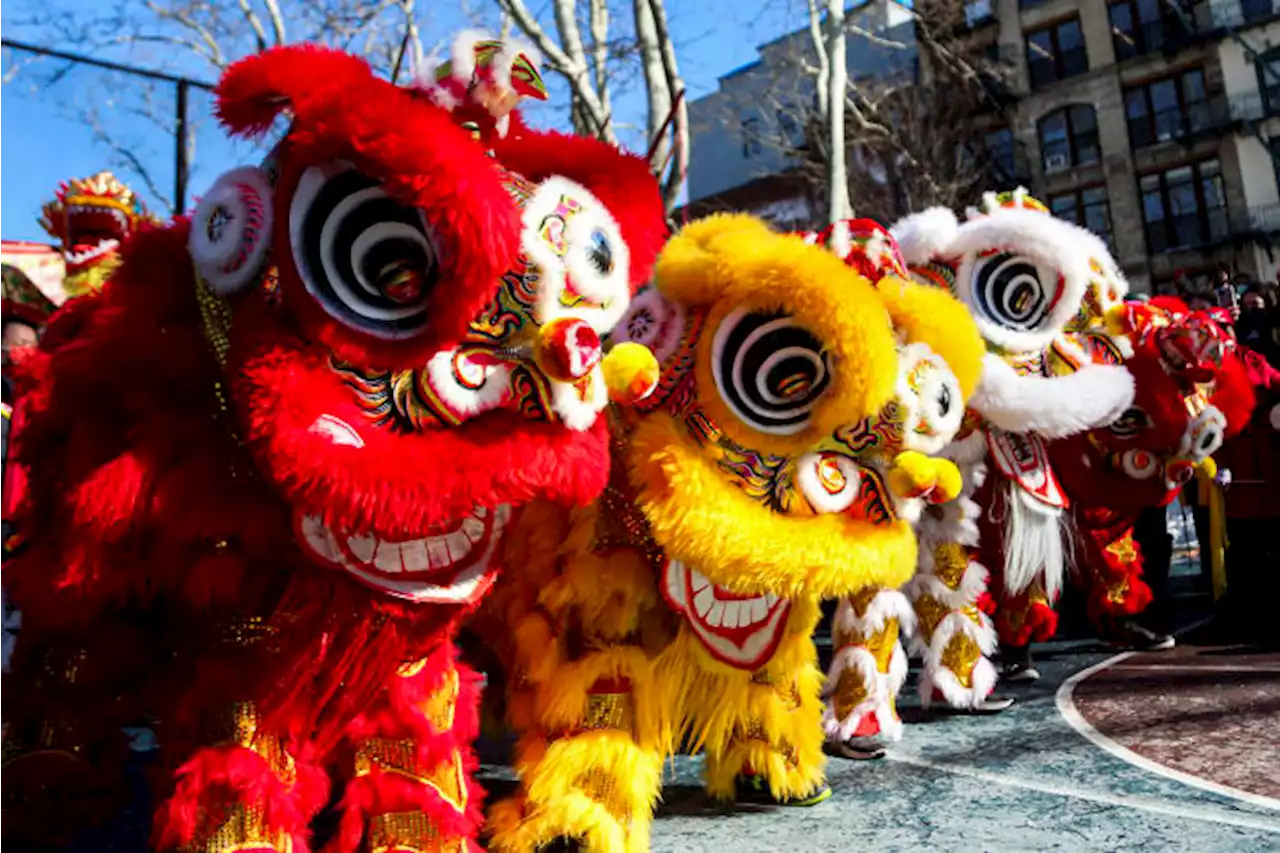 Lunar New Year 2023: Usher in the Year of the Rabbit at these Houston celebrations