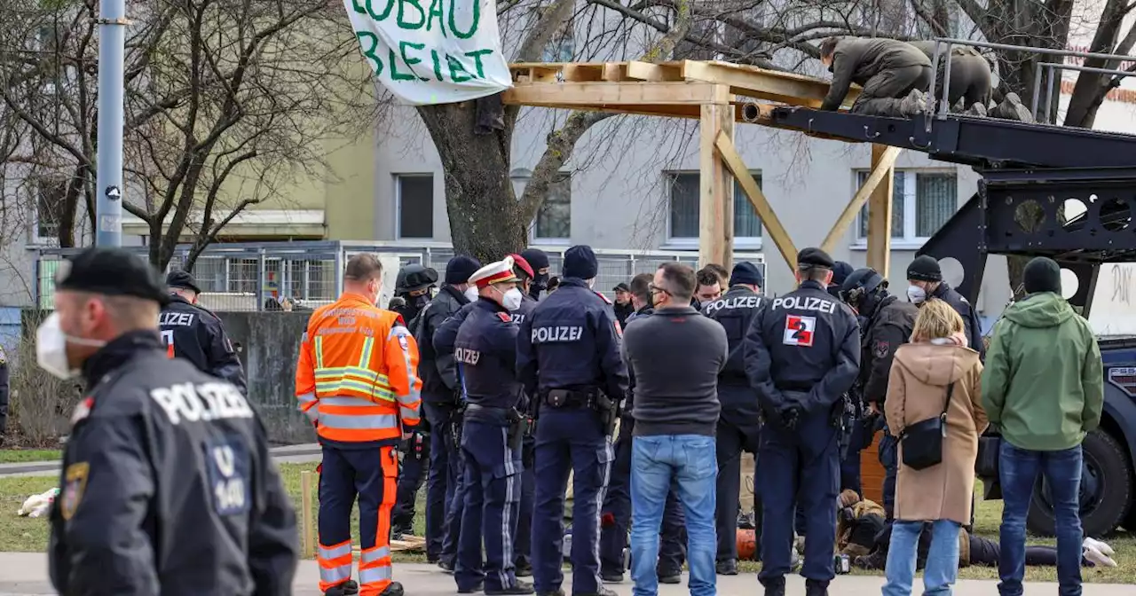 Klimaaktivist die Rippe gebrochen: Gericht bestätigt Polizeigewalt