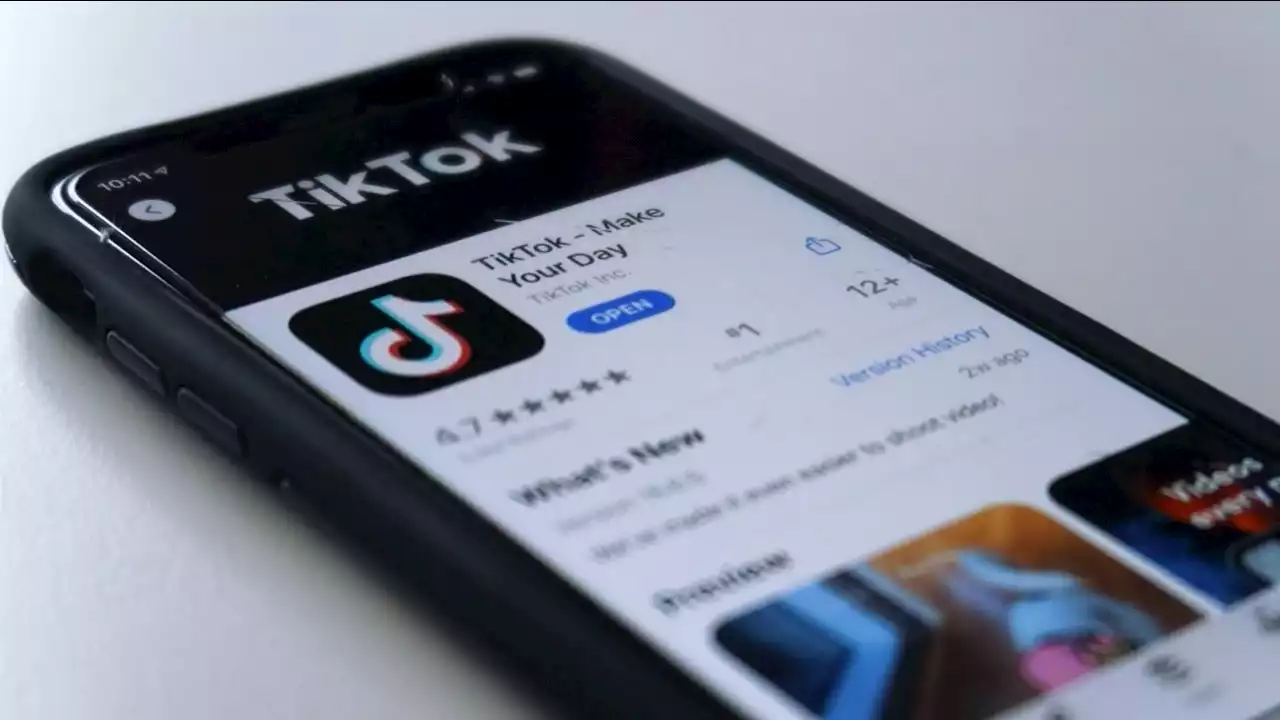 State leaders deactivate personal TikTok accounts amid security concerns -