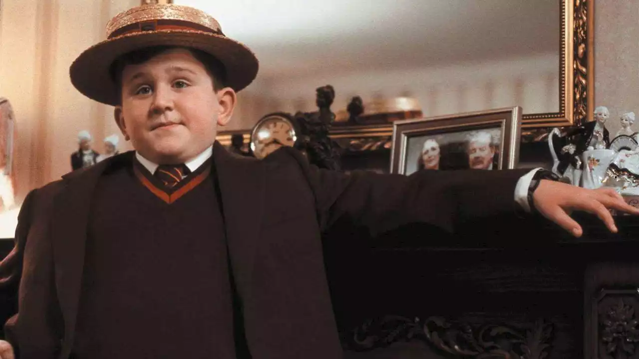 El increíble cambio físico de Harry Melling: el actor que dio vida a Dudley Dursley en 'Harry Potter' triunfa en Netflix