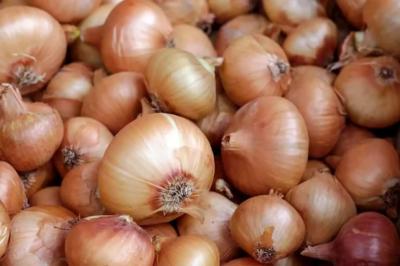 Cuál es el país donde las cebollas son más caras que la carne