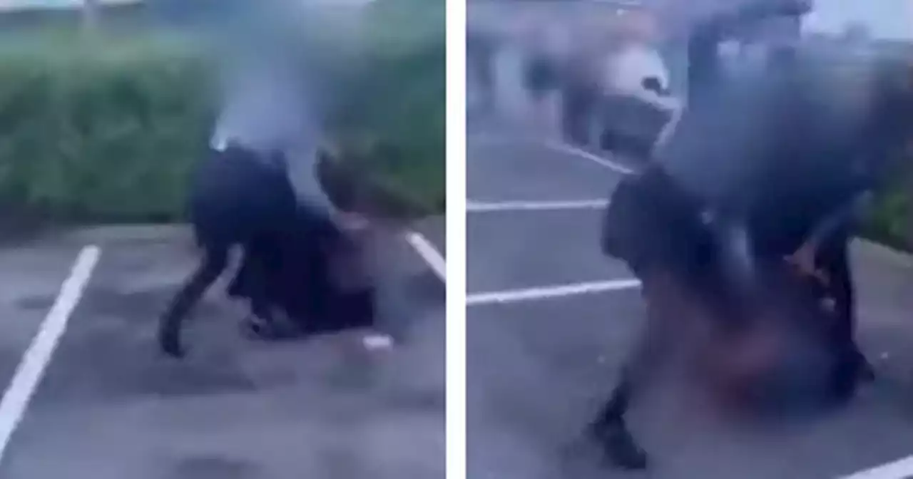 Arrest after footage shows schoolgirls beating victim in horror attack