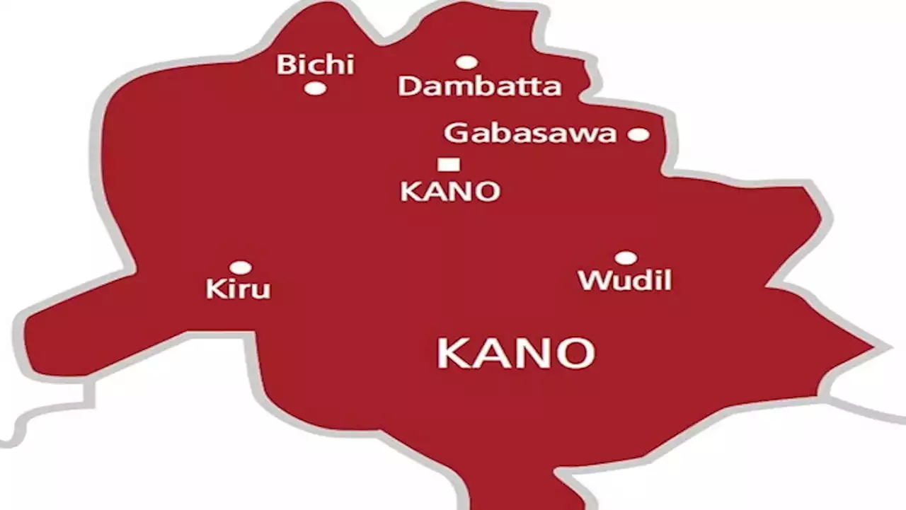 Eight parties sign peace accord in Kano