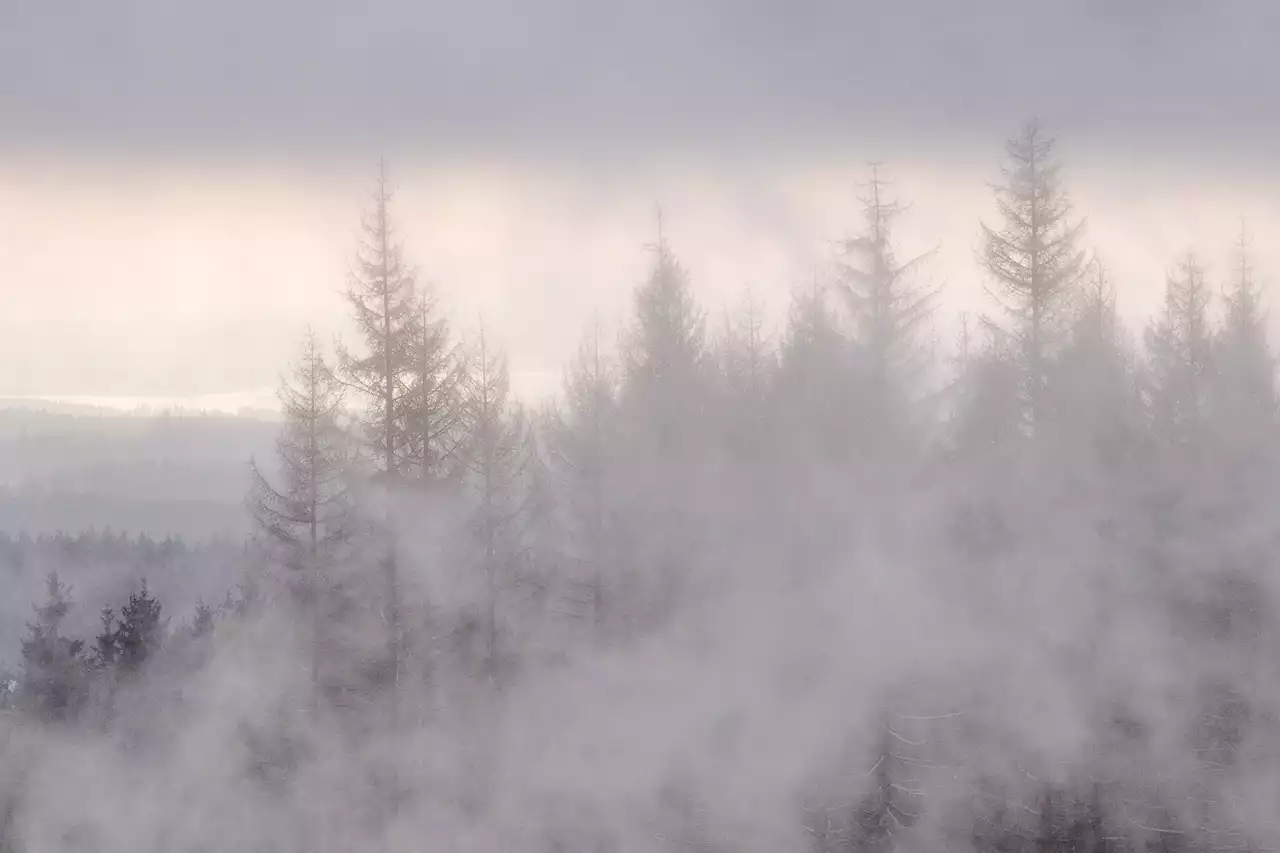 Temperaturen fallen: Das planen Wintersport-Orte im Harz