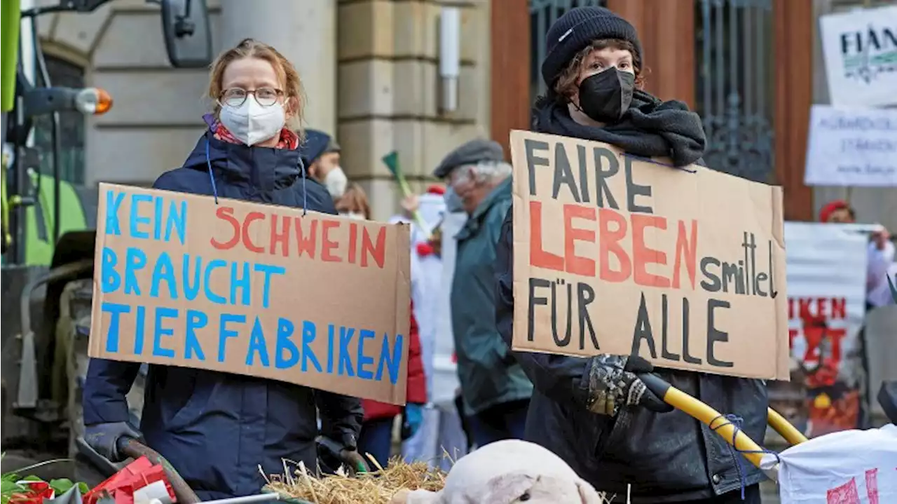 Agrar-Demo in Berlin: „Haben von Özdemir mehr erwartet“