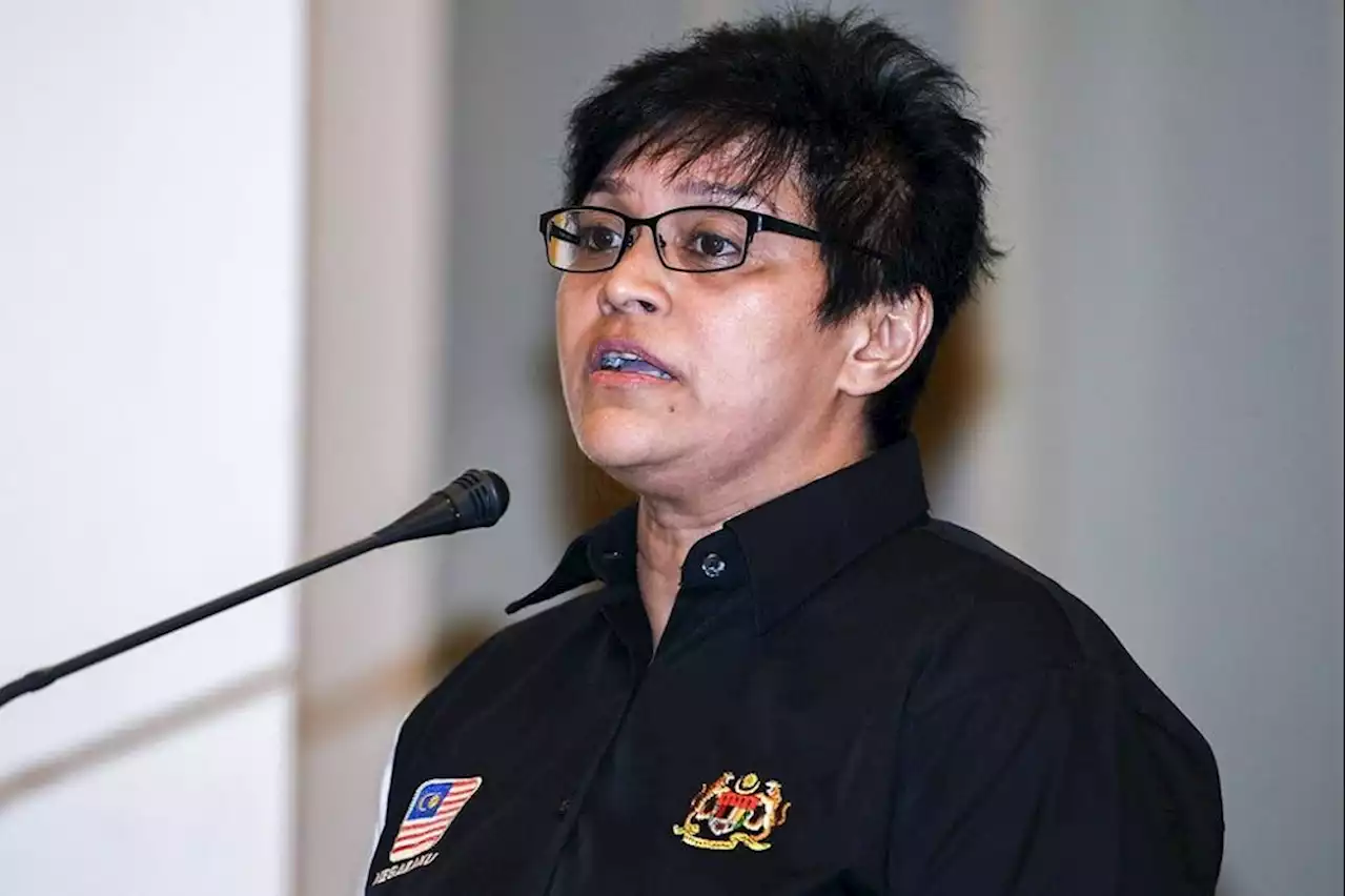 Children’s commission to perform 4 main functions, says Azalina | The Malaysian Insight