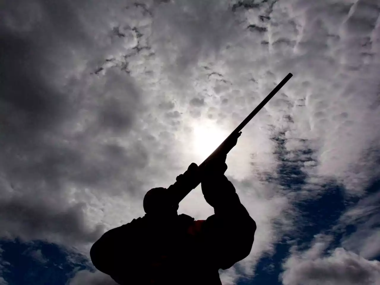 Opposition MPs united in ensuring Canadian hunters aren't disarmed by Liberal government