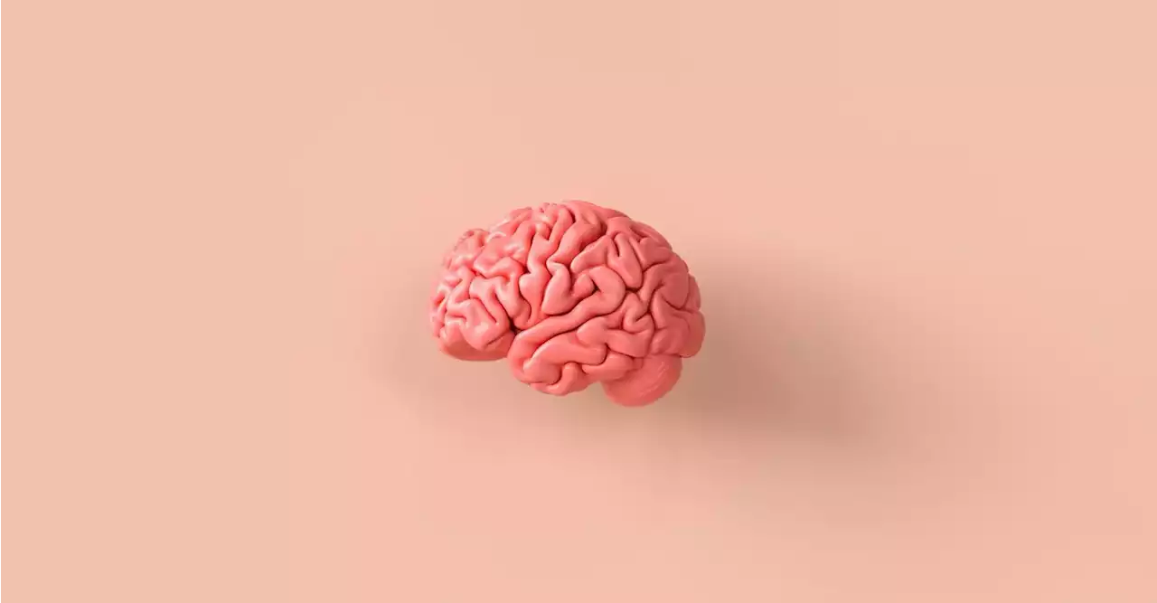 How does the brain change with age?