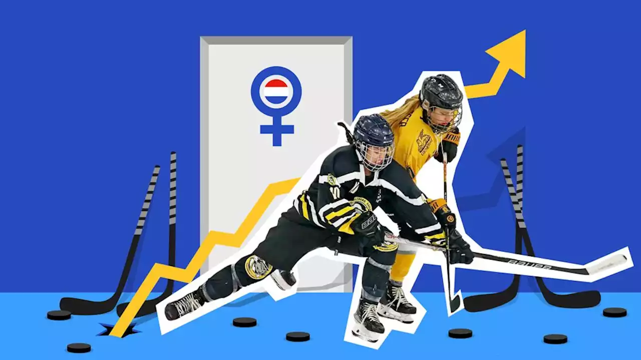 Hoe een klein clubje het vrouwenijshockey in Nederland op de kaart wil zetten