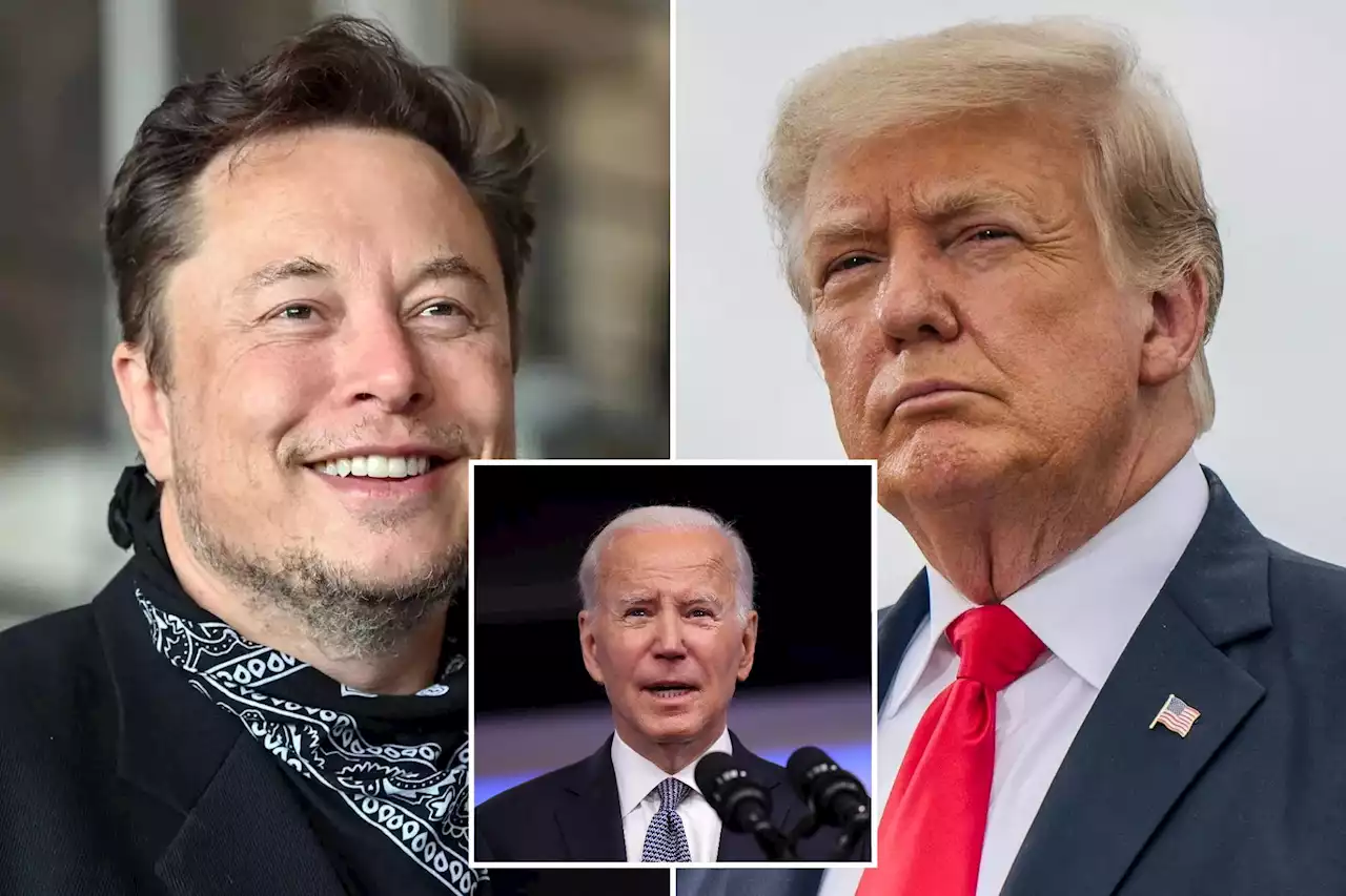 Musk says Biden admin could ‘weaponize’ federal agencies against Twitter if Trump returns