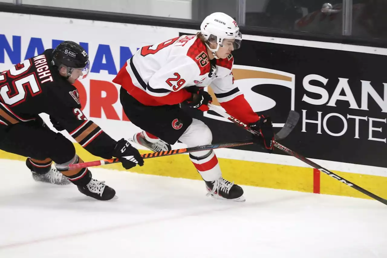 WHL Roundup: Prince George Cougars shoot down Calgary Hitmen