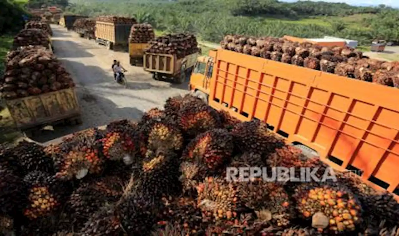 Bappebti Ungkap Masalah Indonesia Belum Bisa Punya Bursa Komoditi Sawit |Republika Online