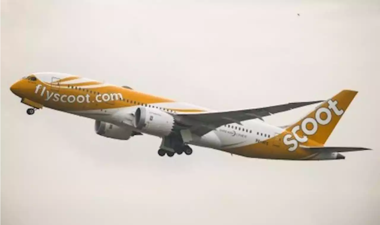 Mantap! Scoot Airline Tawarkan Terbang Umrah Balikpapan-Jeddah |Republika Online