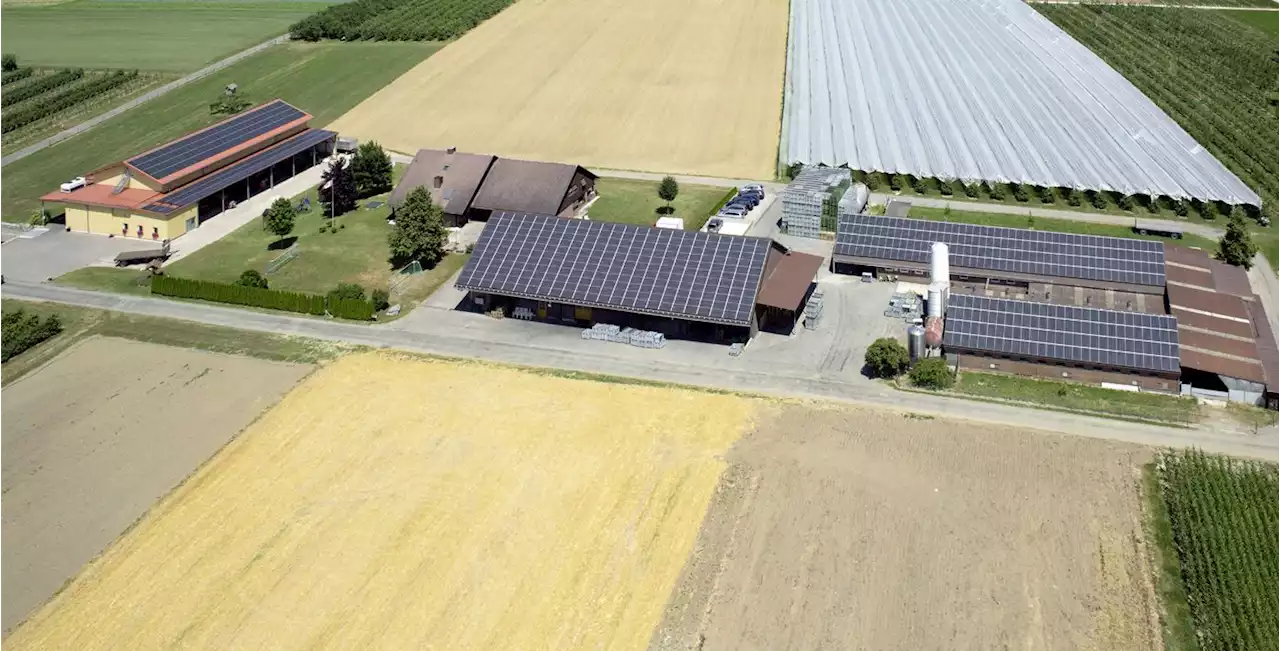 Umfrage: Produziert Ihr Solarstrom? - Schweizer Bauer