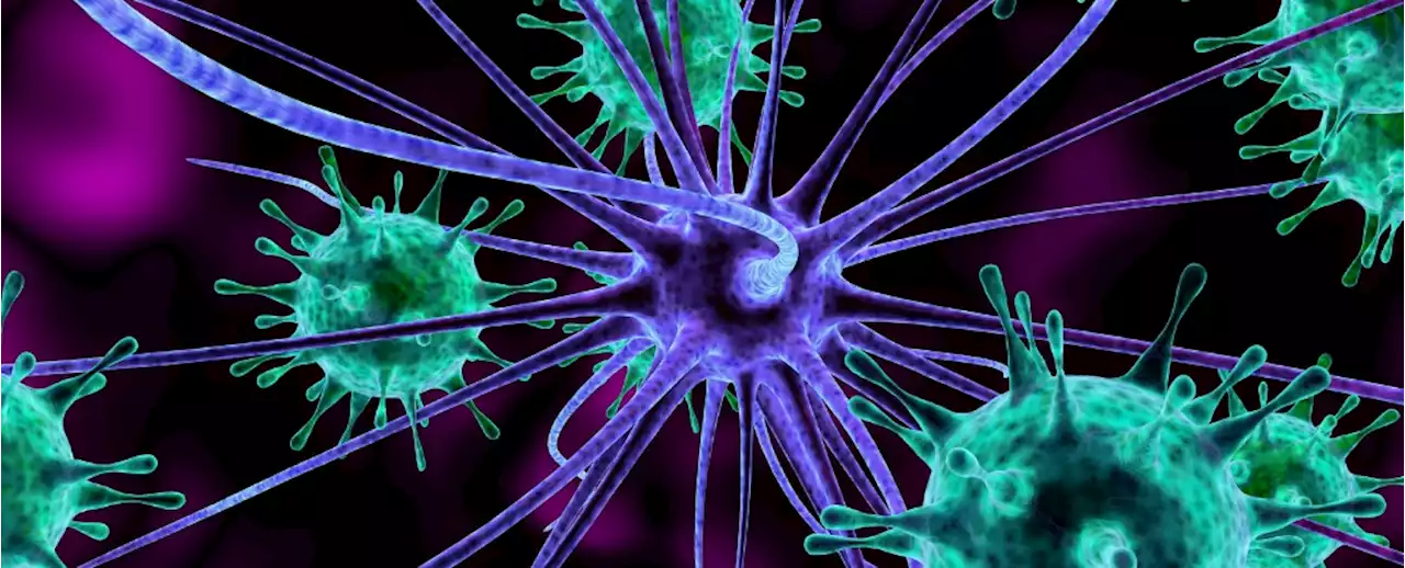 Common Vaccinations Could Be One Way to Reduce The Risk of Developing Dementia