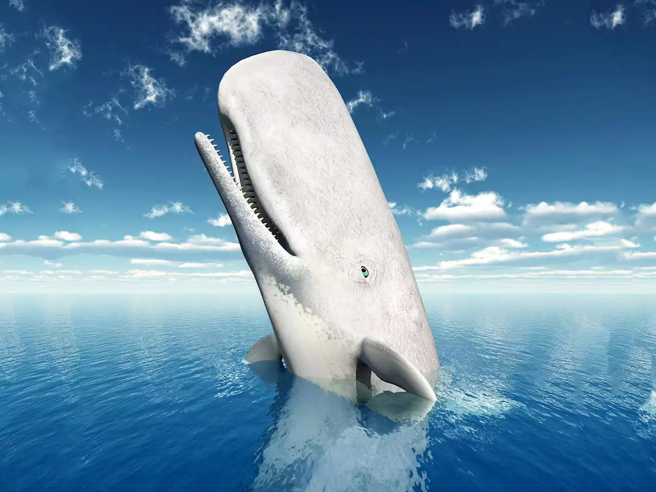 Secrets of Marine Biology: How Four Genes Turned Whales Into Giants of the Sea