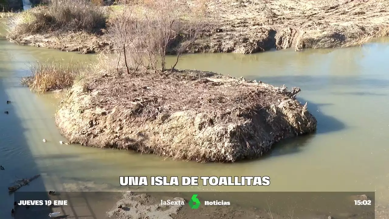 Aparece una isla de toallitas y sedimentos de tres metros de alto en medio del río Guadalquivir