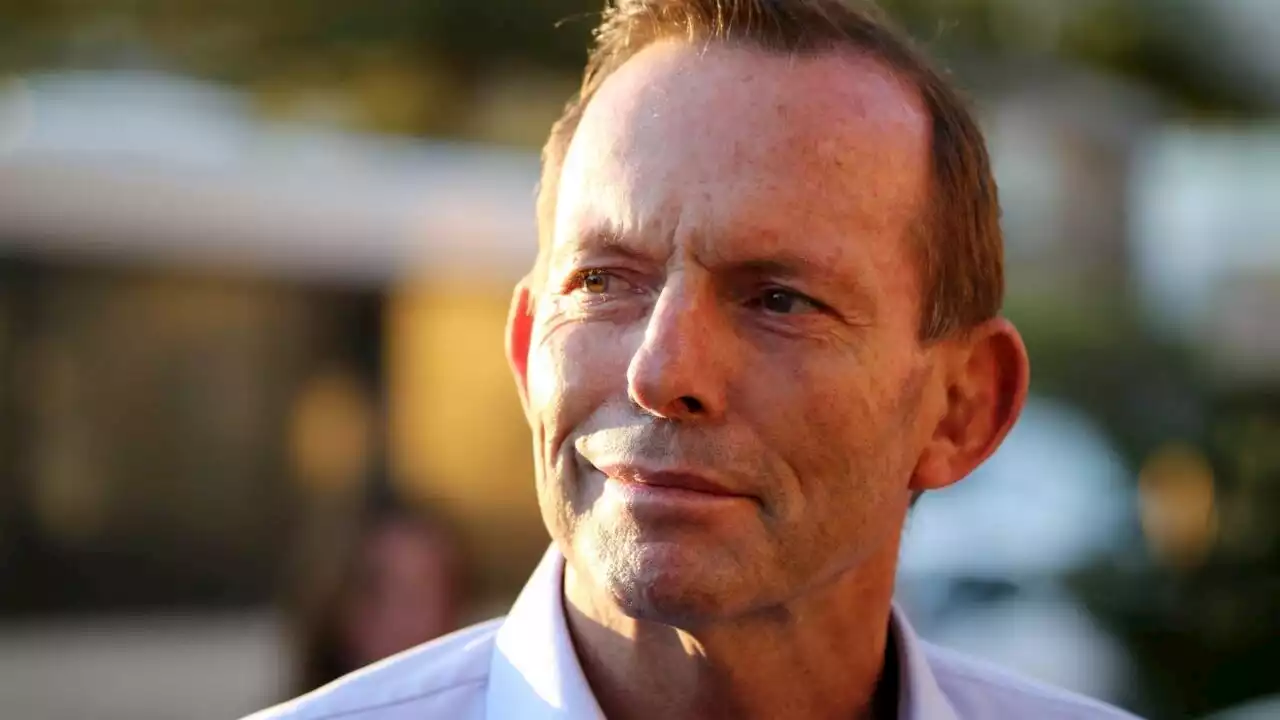 Tony Abbott is someone who should be &#8216;seriously considered&#8217; for the NSW Senate vacancy