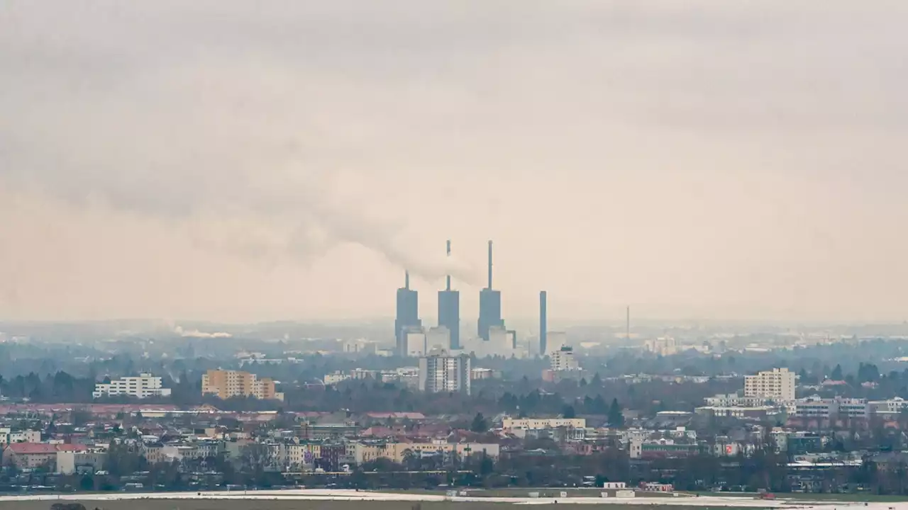 Meinung: Stoppt die Energiepreisbremse! (stern+)