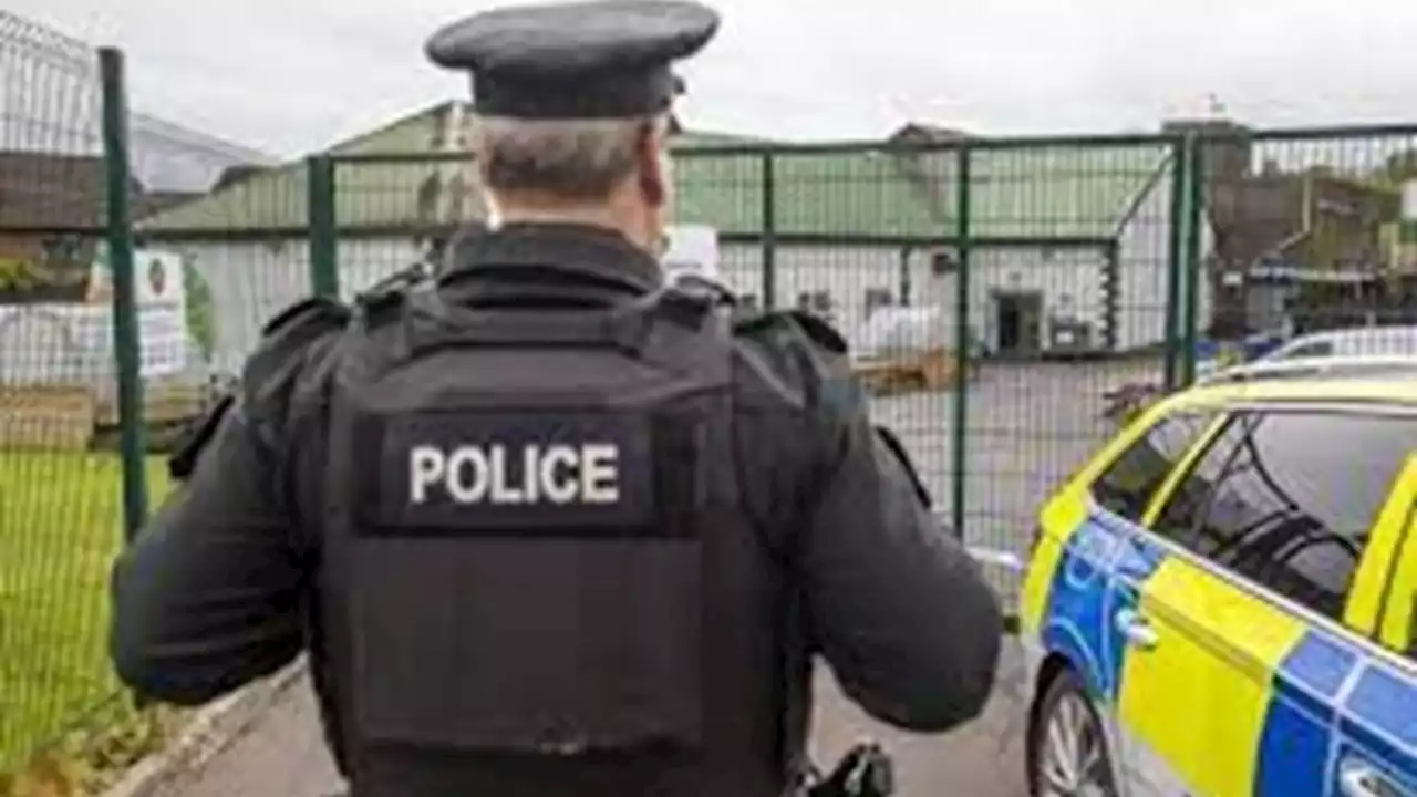 Abusos: Despiden a 9 agentes de la Policía de Irlanda del Norte