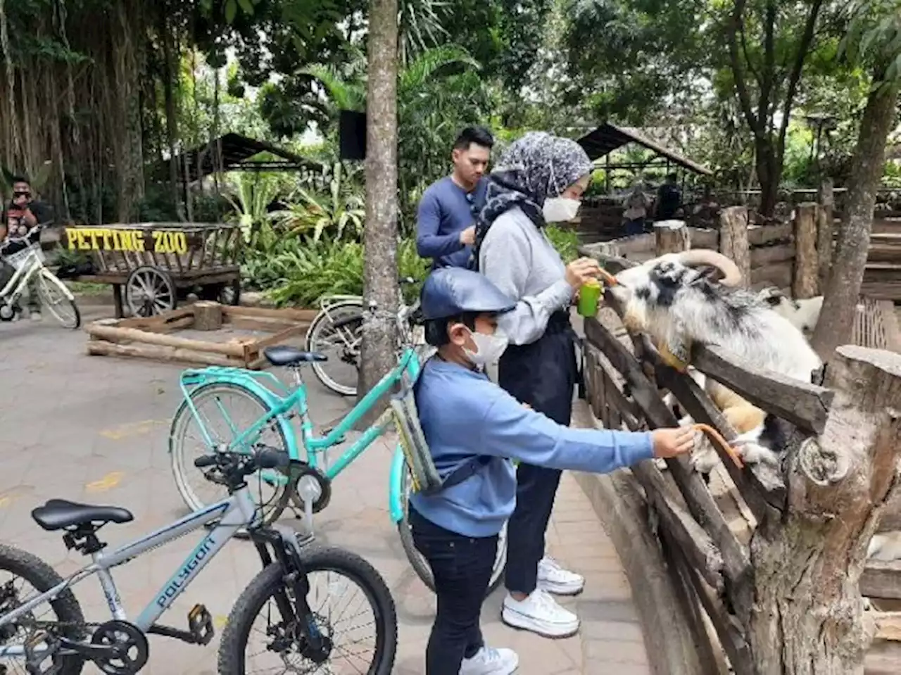 Libur Imlek, Gembira Loka Zoo Siapkan Angpau dan Acara Spesial untuk Pengunjung