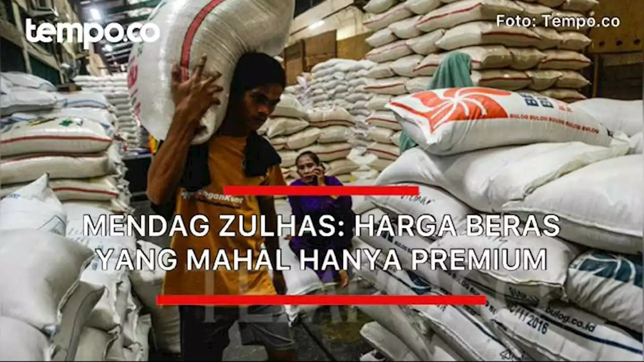 Mendag Zulkifli Hasan: Harga Beras yang Mahal Hanya Premium, Medium Dijamin Pemerintah