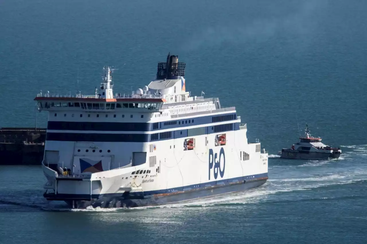 Warnings of chaos as Dover-Calais ferry services suspended due to French 'Day of Action'