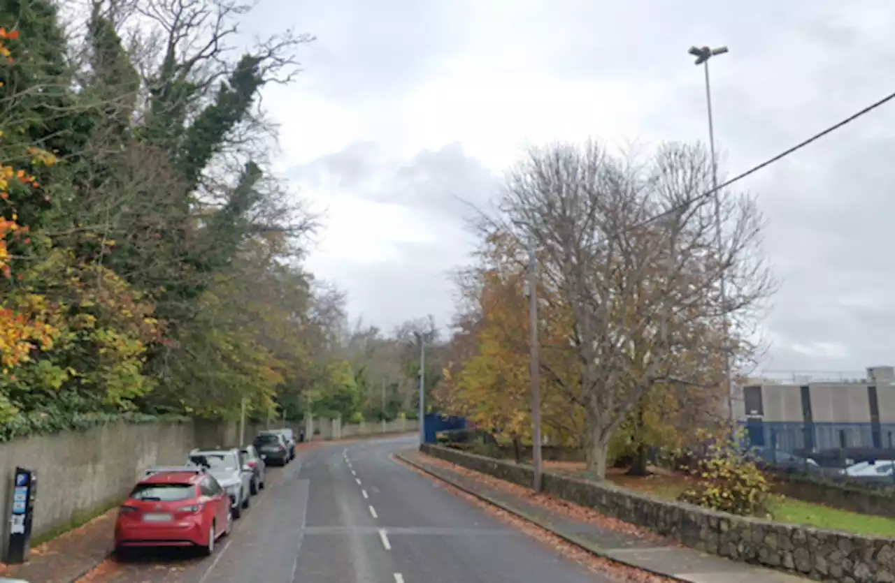 Man in his 80s dies following single-vehicle collision in south Dublin