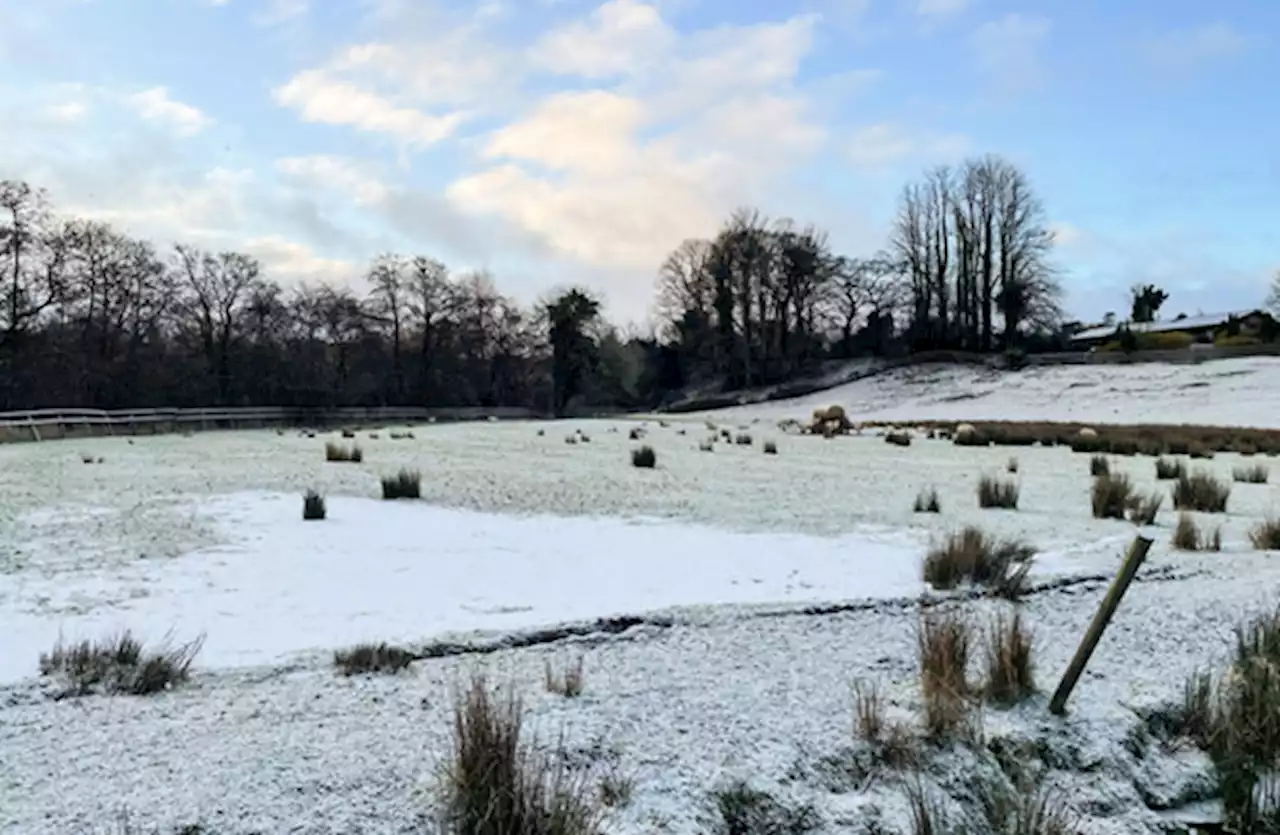 Motorists urged to slow down as nationwide status yellow ice warning remains in place until midday