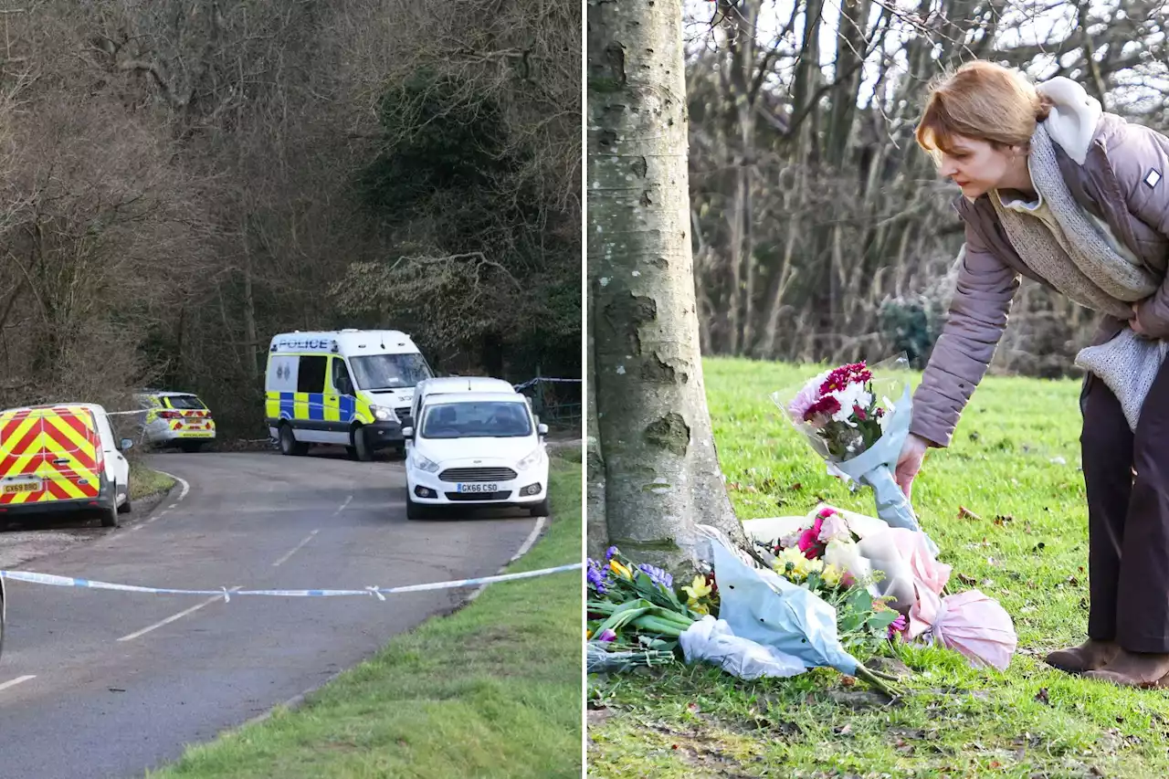 Family of dog walker, 28, mauled to death by 8 dogs share heartache