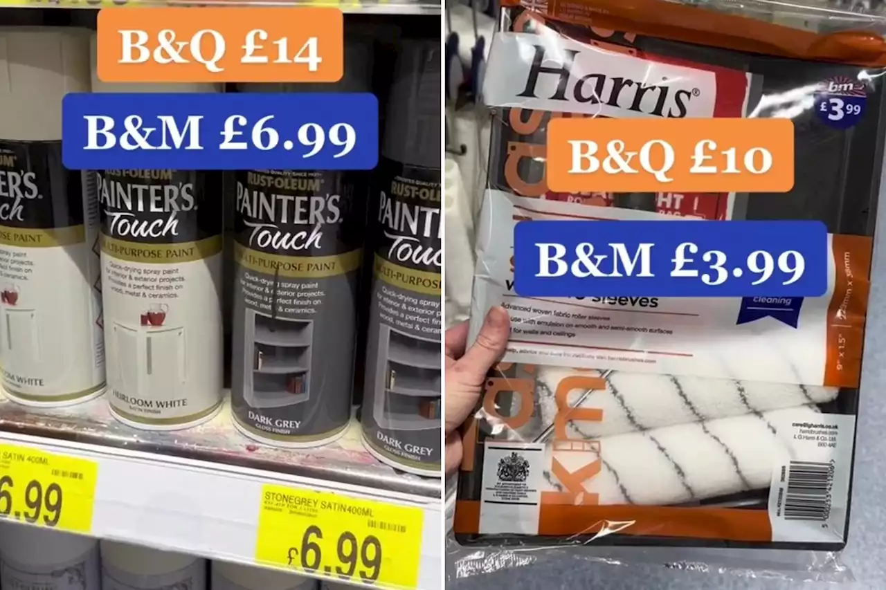 Money-saving fan floored after comparing DIY product prices in B&M and B&Q