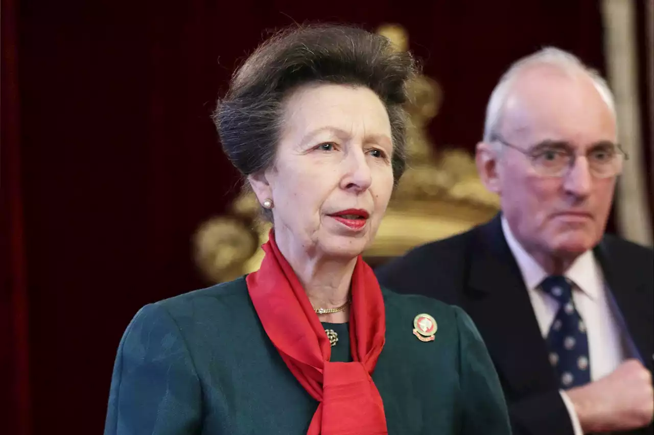 Princess Anne's Bull Terrier savages another dog during shoot