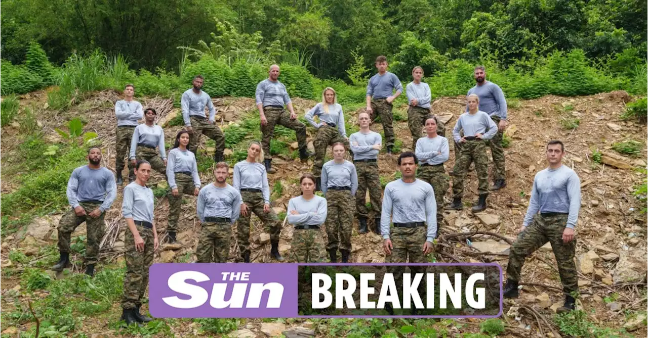 SAS: Who Dares Wins - Jungle Hell line-up revealed with influencers & boxers