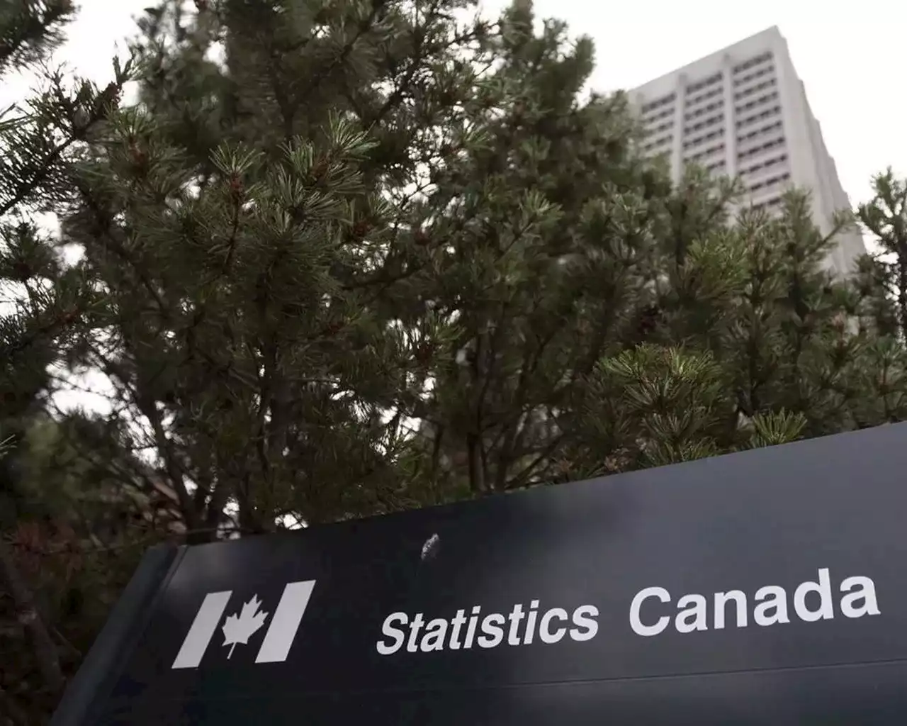 Statistics Canada finds people of colour generally more educated but paid less